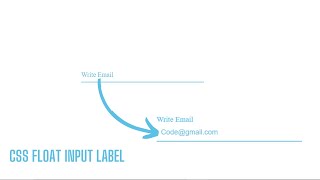 CSS Float Input Label Text | Floating Label CSS 2022