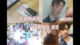 [캐럿로그 #1] 모르겠어~ 포장하고 싶어서 교환했다는 거야ㅣ찬프ㅣ CARAT VLOG💎💍