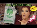 DOLLAR TREE HAUL | AWESOME FIND | November 28, 2024