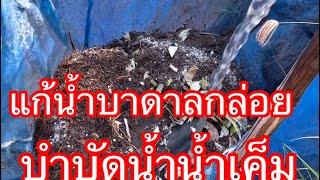 ปัญหาน้ำบาดน้ำกล่อย น้ำเค็มแก้ได้ ด้วย3อย่างเท่านัี้น