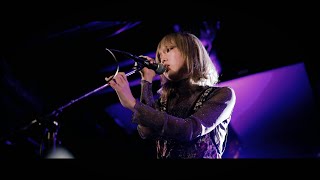 Soirée - 全方向美少女(乃紫 Cover)｜Live Video