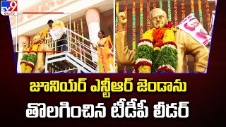 జూనియర్ ఎన్టీఆర్ జెండాను తొలగించిన టీడీపీ లీడర్ | TDP Activist Removed Jr NTR Flag - TV9