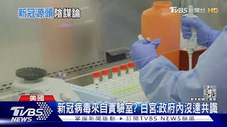 新冠病毒來自實驗室? 美駐中大使:北京須透明化｜TVBS新聞@TVBSNEWS01