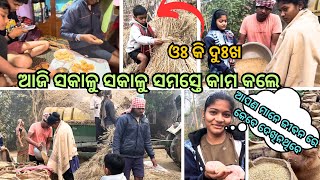 ଆଜି ସକାଳୁ ସକାଳୁ ସମସ୍ତେ କାମ କଲେ |New Odia Daily Vlog | New Village Odia Family Vlogs | Village Vlog