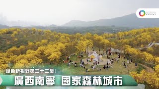 《綠色新視野》第32集—廣西南寧 國家森林城市