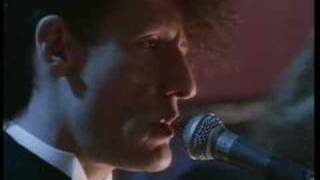 Lyle Lovett: She's No Lady