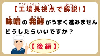 味噌手作りキット よくいただく質問【その24】味噌の発酵がうまく進みません。どうしたらいいですか？～工場長視点でさらに解説！【後編】～#味噌手作りキット　#味噌手作り体験