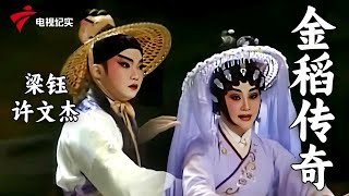 粤剧《金稻传奇》,主演 梁钰 许文杰 司徒国球 李锦江【剧场连线】#粤剧 #CantoneseOpera