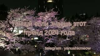 🌺🌃 Танцуй если знаешь этот тренд 2024 года 🌺🌃 Лучшее тренды Тик Ток 2024 🌺🌃