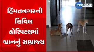 Stray dogs seen roaming in Himmatnagar Civil Hospital, authorities dormant! | Zee News