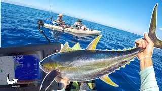 Schooling the sharks to catch a Monster yellowfin tuna | Catch Clean Cook | Penn Spin fisher 6