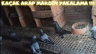 Uzun Bi Aradan Sonra İlk Video-Kaçak Arap Mardin Yakalama !!!