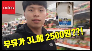 🇦🇺호주 마트에서 장 봤습니다. 가격이 장난 아니네요(예비워홀러 추천) 호주워홀#7