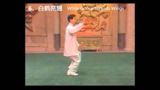 Chen Style Tai Chi 18 Form with Chinese and English Step Names