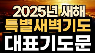 2025년 대표기도 예시 ㅣ 새해 특별새벽기도회 대표기도 예시문 ㅣ 신년 새벽기도 ㅣ새벽예배 대표기도 예문 ㅣ예배 대표기도 준비ㅣ 슬기로운 기도생활