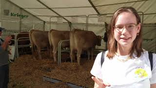 The most beautiful Swiss schwing festival - Schwägalp Schwinget