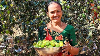 આજે આપડે બોરડીના ખેતર માં જઈસુ