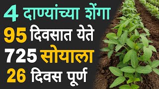 MAUS 725 सोयाबीन डेमो | Dnyaneshwar Kharat Patil | MAUS-725 Soybean variety Demo