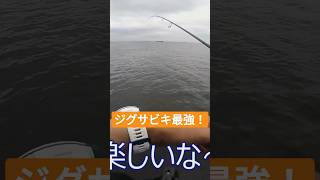 連発からの～【ジグサビキ】【堤防】