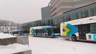 【真正的加拿大冬天】蒙特利爾啲雪大到呢… Heavy Snowfall in Montreal! (2022/02/18)