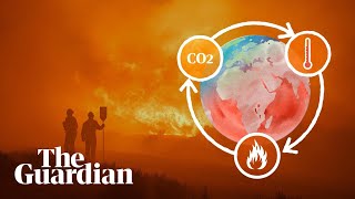 The climate science behind wildfires: why are they getting worse?