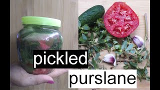 Pickled Purslane  Դանդուռի Թթու   Маринованный портулак