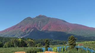 Mt. Iwaki with autumn leaves seen from the apple orchard　林檎畑から見た紅葉の岩木山