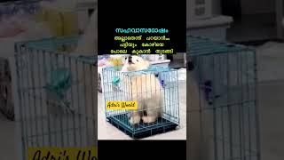 എന്ത് പറയാൻ 🤣 #funny #shortfeed #youtubevideos #youtubeshorts