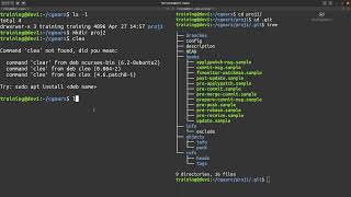 Git Essentials - git init and .git folder
