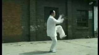 Zhaobao He-Style Taijiquan