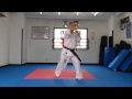 【新極真会】空手ビギナー組手テクニック　コンビネーション２ shinkyokushinkai karate training 　combination 2 3