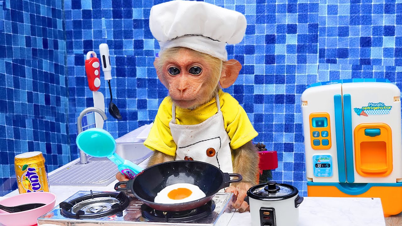 Monkey Bibi Cooking Dinner With Chicken So Smart Funny Challenge For