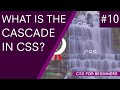 CSS Tutorial For Beginners 10 - CSS Conflicts & the Cascade