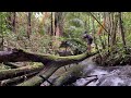 building a shelter on logs solo camping bushcraft