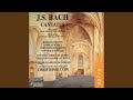 Jesu, nun sei gepreiset in C Major, BWV 41: VI. Dein ist allein die Ehre