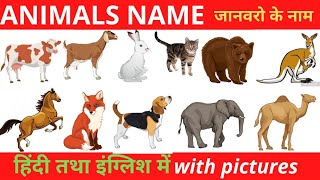 ANIMAL NAME|ANIMAL NAME IN ENGLISH|ANIMAL NAME IN ENGLISH AND HINDI|