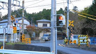 身延線【№137】橋場踏切・通過・走行映像（芝川駅⇔稲子駅）静岡県富士宮長貫