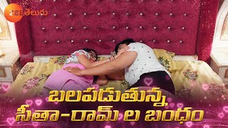 Seethe Ramudi Katnam - 13 March 2024 at 12:30 PM - Zee Telugu