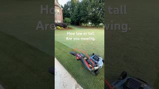 What height do you mow and why?  I’m at 1.5 inch in this video.