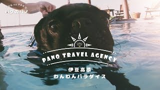 【パグ旅行】～伊豆高原わんわんパラダイス ～