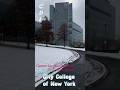 Snowfall ❄️ at CDI building City College of New York Campus #ccny #cuny