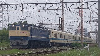 【小田急8000形西武譲渡甲種輸送】JR貨物 EF65 2074号機+小田急8000形8261編成 甲種[9860レ] 小手指行 八丁畷〜川崎新町間通過！[2024.05.19(日)]