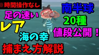 【あつ森】必見！足の速いレアな海の幸捕まえ方解説！南半球２０種売り値公開！時間操作なし。あつまれどうぶつの森