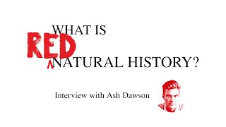 From Competitive Individualism to Mutual Aid: Interview with Ashley Dawson