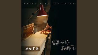 后来的你在哪 (氛围版)