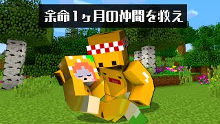 【病気になった友達を救え‼️】マイクラでウイルスに感染したここなっちゃんを救うためにドラゴンと戦い薬をゲットしよう✨感動するストーリー✨【まいくら minecraft】ぽっぴんず