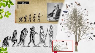 Theory of Evolution |Fact vs Fiction|How LifeOriginated onEarth#history భూమిపై జీవం ఎలా ఉద్భవించింది