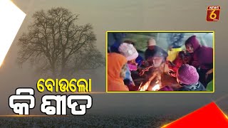 ବୋଉଲୋ କି ଶୀତ#News6odia