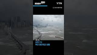 [태풍 힌남노] 제보 영상으로 본 부산 광안대교의 아침  / YTN