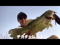 デカダッジを陸まで追いかけて強烈ひったくりバイトがやばすぎた！【徳島バス釣り】